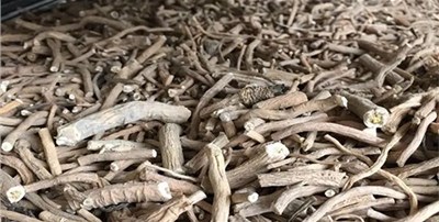 烘干機的工作原理是什么？